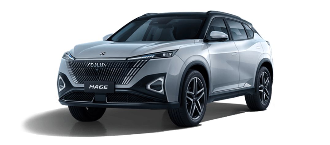 Dongfeng mage - xam den
